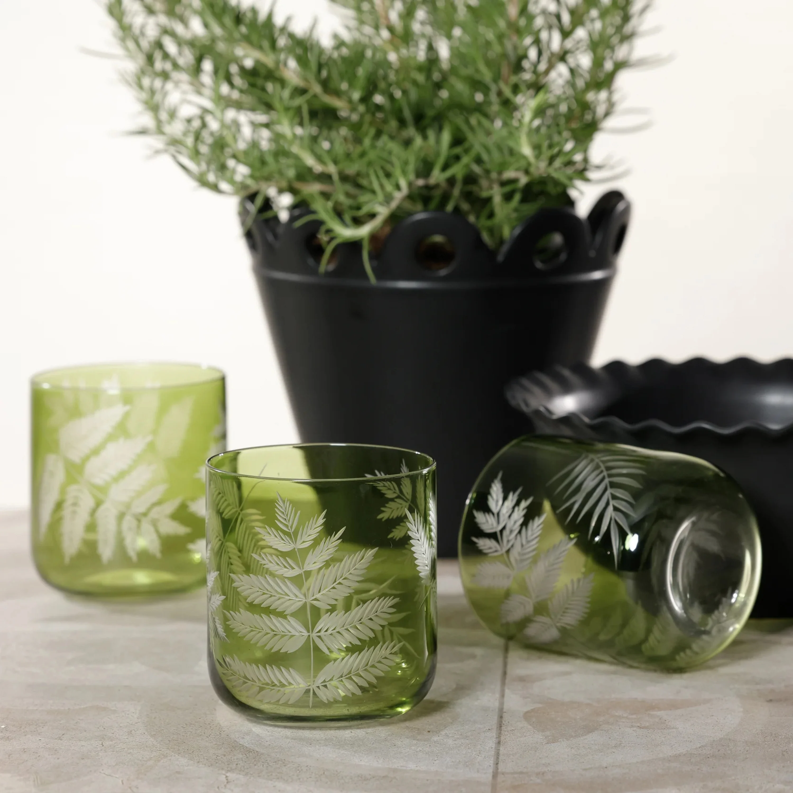 Fern Leaf Rock Glasses (Set of 6) - Image 3