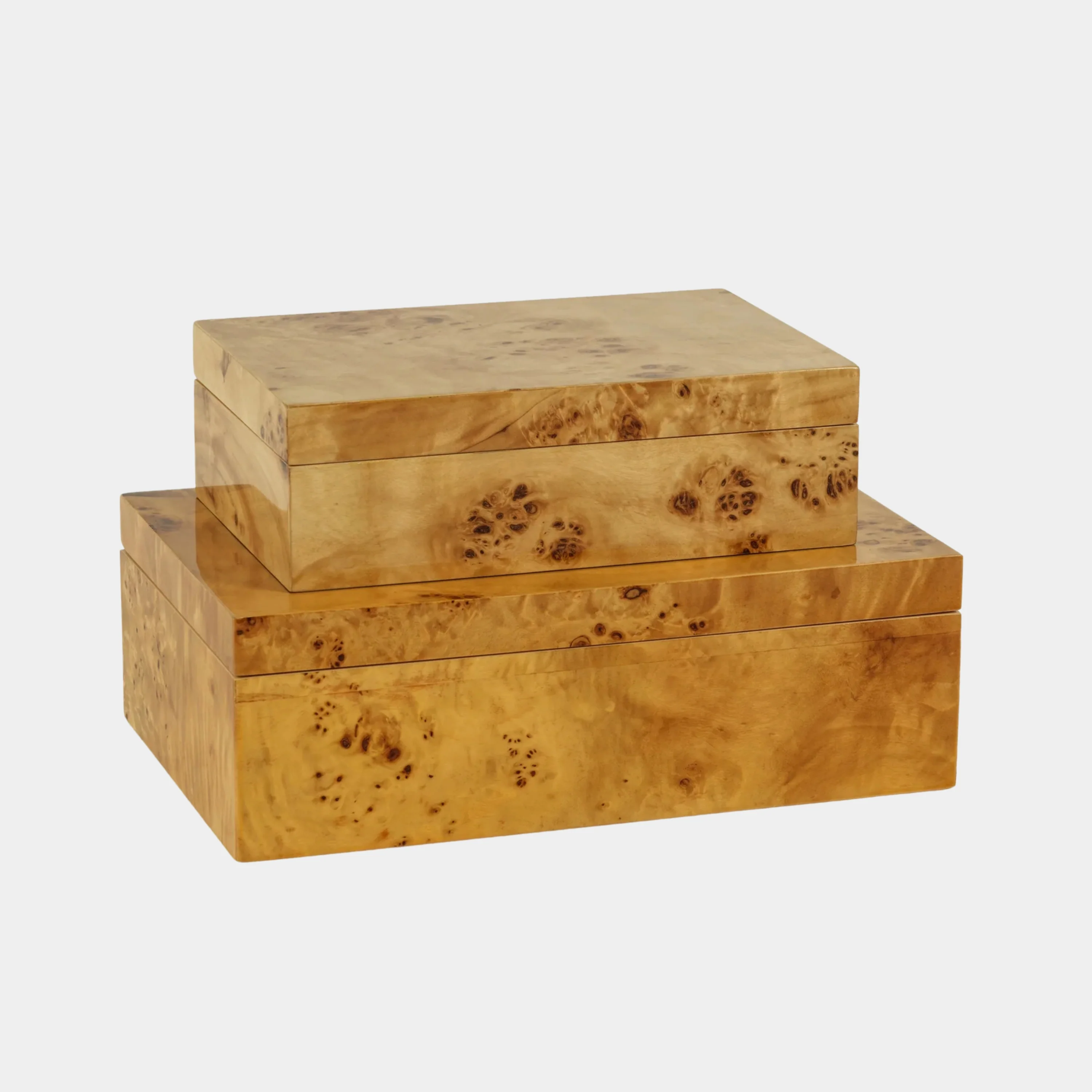 Leiden Burl Wood Design Box, Small - Image 2