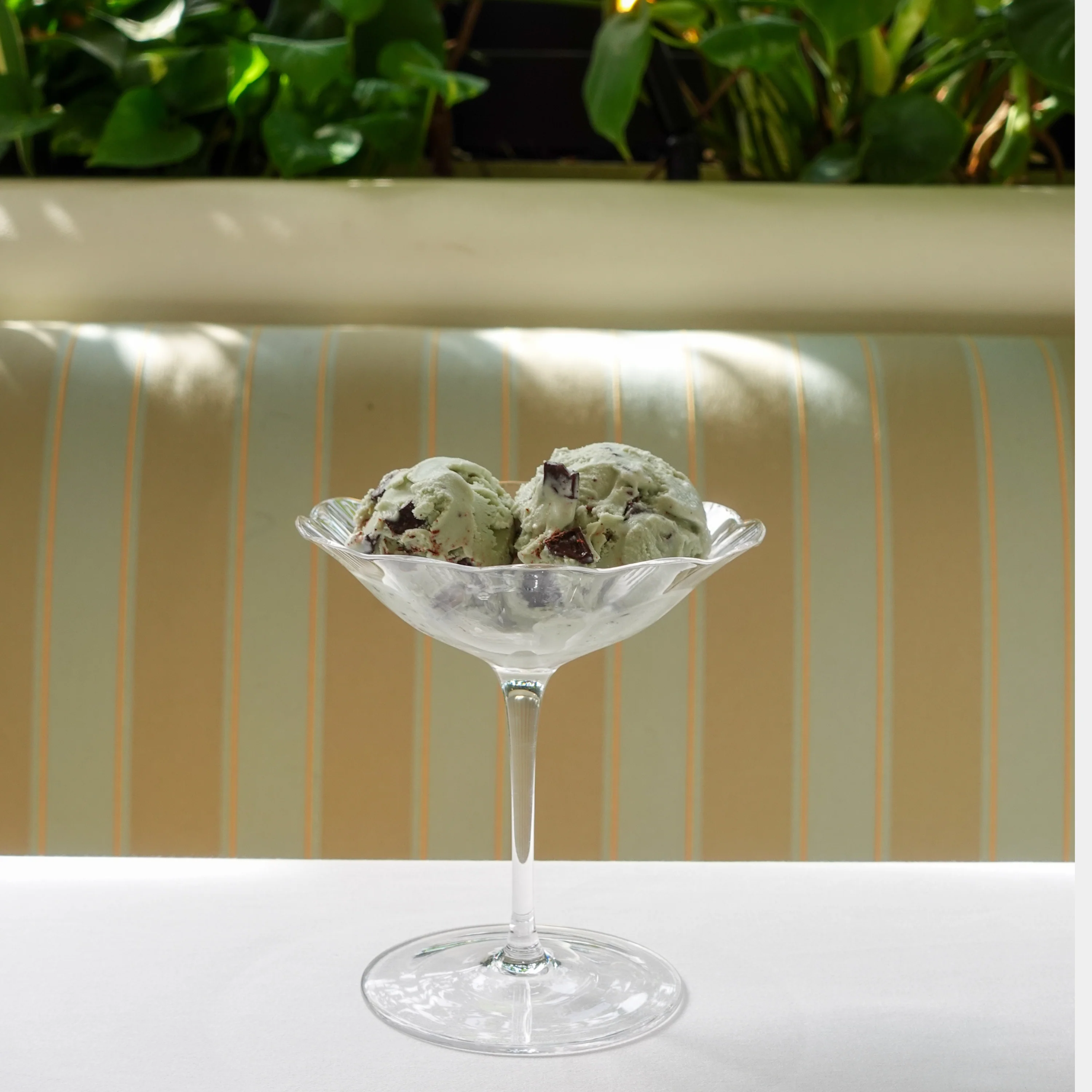 Ondine Martini / Dessert Glasses (Set of 4) - Image 5