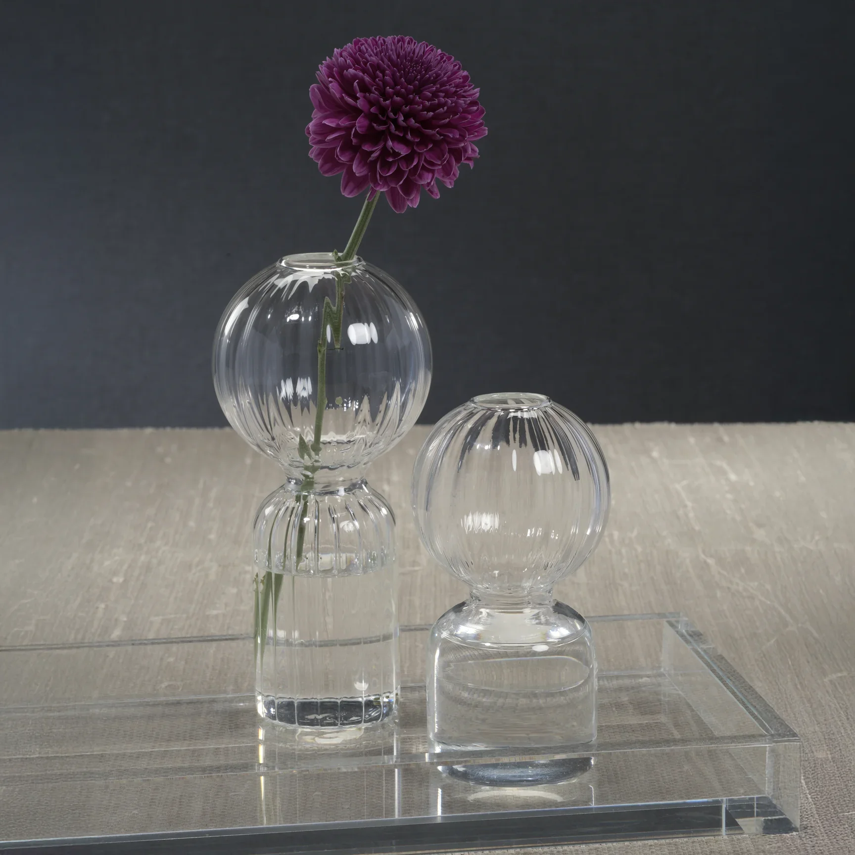 Ritz Single Stem Glass Vase - Clear - Large