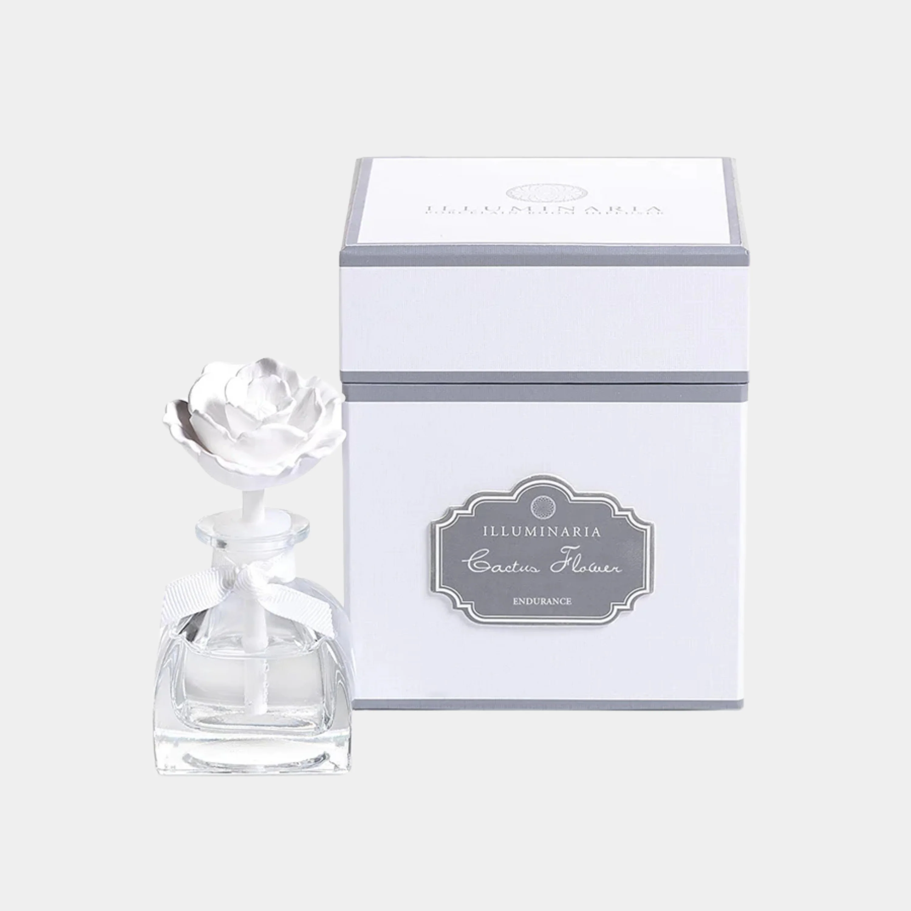 Illuminaria Mini Porcelain Diffuser, Cactus Flower